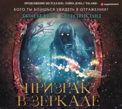Месть охотника на ведьм, аудиокнига Джона Беллэрса. ISDN48857542