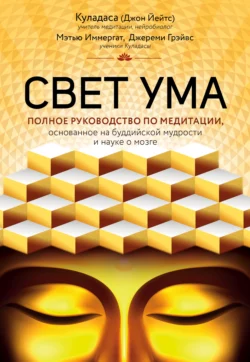 Свет ума. Подробный путеводитель по медитации Джон Куладаса и Мэтью Иммергат