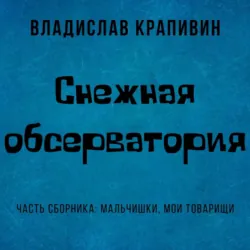 Снежная обсерватория - Владислав Крапивин