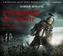 Страшные истории для рассказа в темноте, Элвин Шварц
