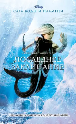 Сестрица, аудиокнига Дженнифер Доннелли. ISDN51643727