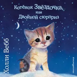 Котенок Звездочка, или Двойной сюрприз - Холли Вебб