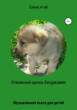 Отважный щенок Бенджамин. Музыкальная пьеса для детей, Елена Атай