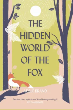 The Hidden World of the Fox - Adele Brand