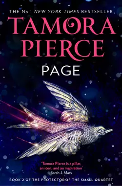Squire, Tamora  Pierce аудиокнига. ISDN48659766
