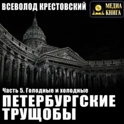 Петербургские трущобы. Часть 5. Голодные и холодные - Всеволод Крестовский