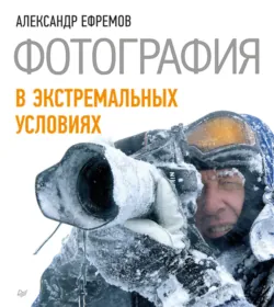 Секреты RAW. Профессиональная обработка, аудиокнига . ISDN17181319
