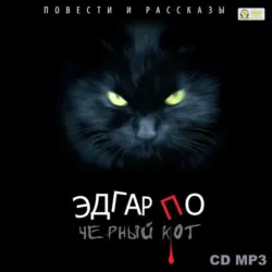 Черный кот. Повести и рассказы - Эдгар По