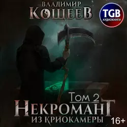 Некромант из криокамеры. Книга первая. Том 2, Владимир Кощеев