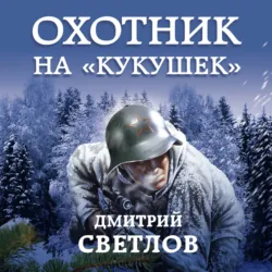 Норманн. Медвежий замок, аудиокнига . ISDN69252124