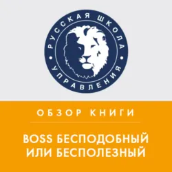 Обзор книги Р. Иммельмана «Boss бесподобный или бесполезный» - Дмитрий Михайлов