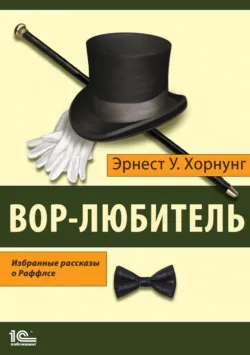 Мистер Дж. Раффлс, аудиокнига . ISDN65304822