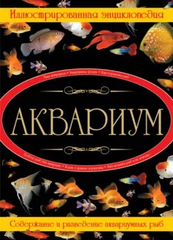 Аквариум. Иллюстрированная энциклопедия - Дарья Ермакович