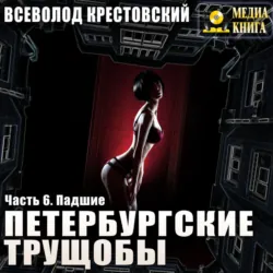 Петербургские трущобы. Часть 6. Падшие - Всеволод Крестовский