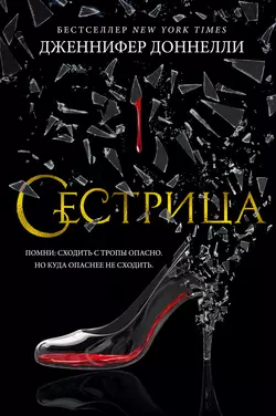 Сестрица, аудиокнига Дженнифер Доннелли. ISDN51643727