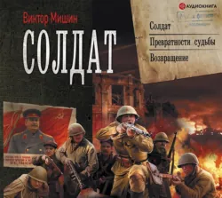 Солдат: Солдат. Превратности судьбы. Возвращение - Виктор Мишин