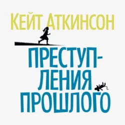 Храмы веселья, аудиокнига . ISDN74124181
