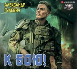 К бою!, Александр Гулевич