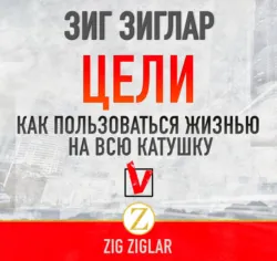Вид с вершины. Как перейти от успеха к значимости, аудиокнига Зига Зиглар. ISDN56796613