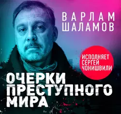 Припадок, аудиокнига Варлама Шаламова. ISDN22072457