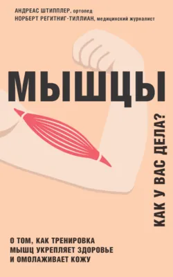 Мышцы. Как у вас дела? - Андреас Штипплер