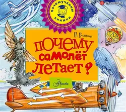 Почему самолет летает? - Петр Волцит