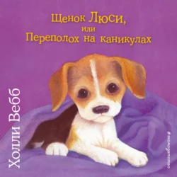 Щенок Люси  или Переполох на каникулах Холли Вебб