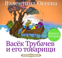 Почему?, аудиокнига Валентины Осеевой. ISDN4970814