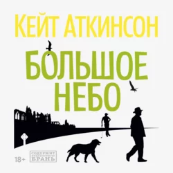 Большое небо, Кейт Аткинсон Большое небо, Кейт Аткинсон