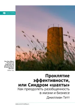Ключевые идеи книги: Проклятие эффективности, или Синдром «шахты». Джиллиан Тетт - Smart Reading