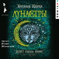 Часодеи. Отблески Времени: Тайная коллекция янтарий Родиона Хардиуса Огнева, аудиокнига . ISDN73542063