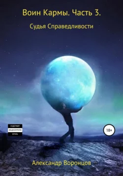 Воин Кармы. Часть 2. Орудие Провидения, аудиокнига Александра Воронцова. ISDN39142602
