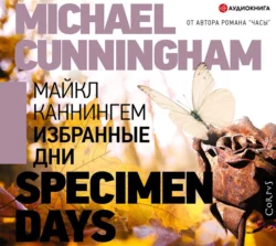 Избранные дни, аудиокнига Майкла Каннингема. ISDN57191713
