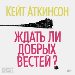 Храмы веселья, аудиокнига . ISDN74124181