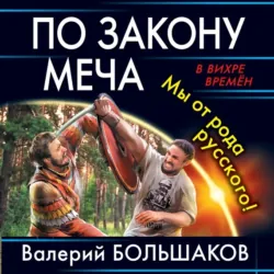По закону меча - Валерий Большаков