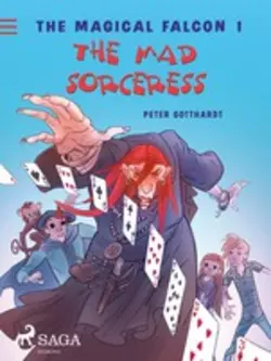 The Magical Falcon 1 - The Mad Sorceress, Peter Gotthardt