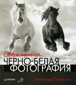 Фотоmaster. Взгляд через объектив, аудиокнига Александра Ефремова. ISDN585965
