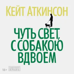 Храмы веселья, аудиокнига . ISDN74124181