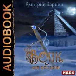 Стражи времени. Мы спасаем попаданцев, аудиокнига . ISDN73943427