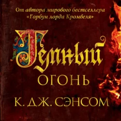 Темный огонь - Кристофер Сэнсом Темный огонь - Кристофер Сэнсом