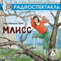 Габриэль Конрой, аудиокнига . ISDN21132159
