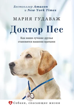 Доктор Пес. Как наши лучшие друзья становятся нашими врачами Мария Гудаваж