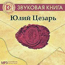 Ролевые игры для детей, аудиокнига . ISDN177503