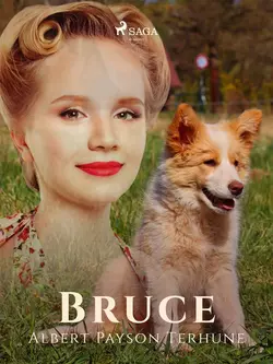 Bruce Albert Terhune