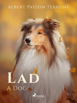 Lad: A Dog, Albert Terhune