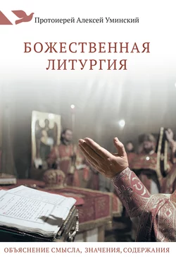 Ребенок в семье и Церкви. Как не навредить детской вере, аудиокнига Алексея Уминского. ISDN24271493