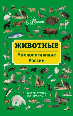 Экология. (Бакалавриат). Учебник., аудиокнига . ISDN66412490