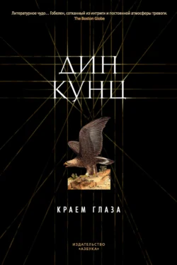 Краем глаза, аудиокнига Дина Кунца. ISDN616905