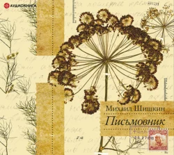 В лодке, нацарапанной на стене, аудиокнига Михаила Шишкина. ISDN68023003