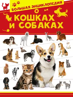 Большая энциклопедия о кошках и собаках, Дмитрий Смирнов